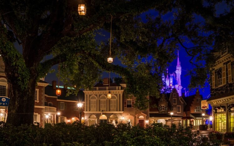 Sleepy Hole Scandal – Disney Vacationer Weblog