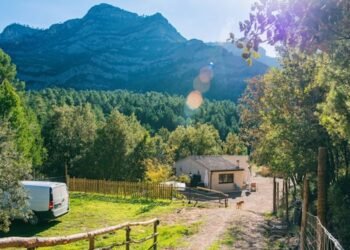 HomeCamper and Campspace merge to create Eu chief in micro tenting