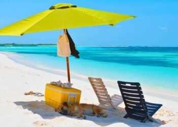 The Absolute best Seaside Equipment for 2024 (Swimming wear, Shelters, Sun shades & Extra)