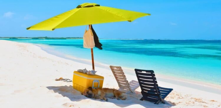 The Absolute best Seaside Equipment for 2024 (Swimming wear, Shelters, Sun shades & Extra)