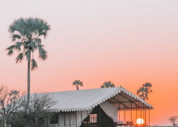 The 20 Very best Safari Resorts in Africa