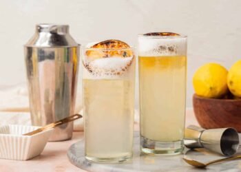 The way to Make the Silver Fizz Cocktail Recipe