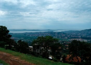 Perfect Puts to Consult with in Kampala