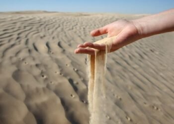 Coastal Erosion Has Develop into a Critical Downside for Tunisia