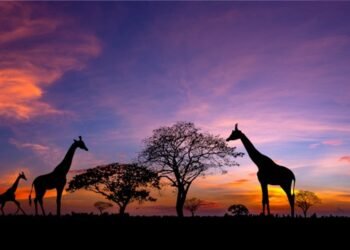 Exoticca lands €60M funding to develop multi-day excursions platform