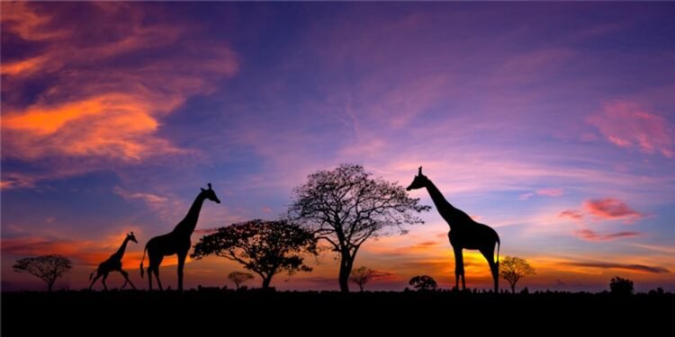 Exoticca lands €60M funding to develop multi-day excursions platform