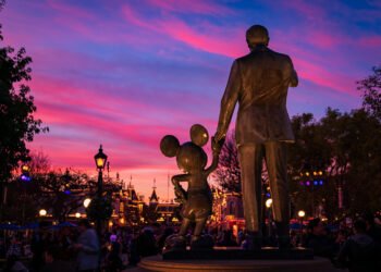 Solid Member Unions vs. Disneyland