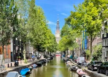 What Enjoying Poker in Amsterdam Taught Me About Making Buddies
