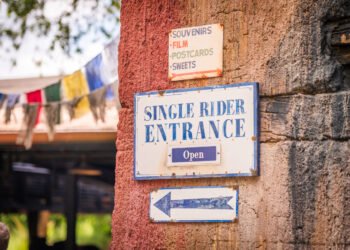 Information to Unmarried Rider Strains at Disney International