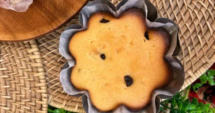 21 South Cebu Meals You’ll be able to Need to Go back and forth For