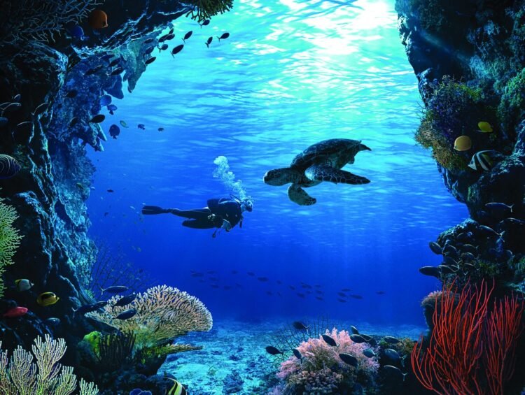 Philippines named absolute best diving vacation spot at 2024 Diving Hotel Shuttle Display