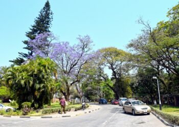 Your Final Information to Reserving Airport Transfers in Zambia