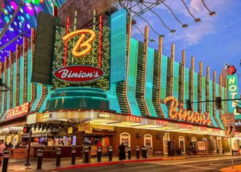 A laugh Vibes and Funky Flavors