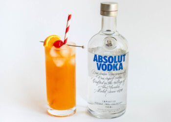 16 Faboulous Cocktails with Vodka Vibes