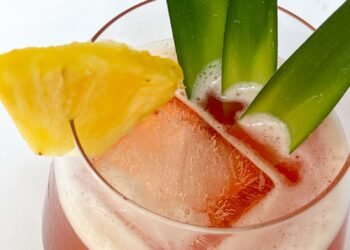 25 Cocktails for the Canine Days of Summer time