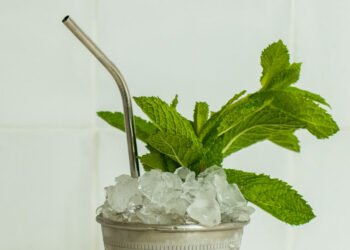 Mint Julep: Refreshing Bourbon Wreck