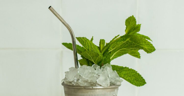 Mint Julep: Refreshing Bourbon Wreck