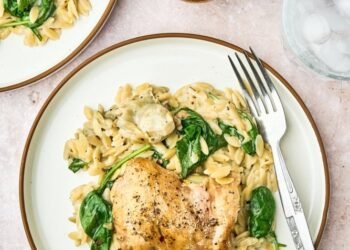 Spinach Artichoke Rooster – The Go back and forth Chunk