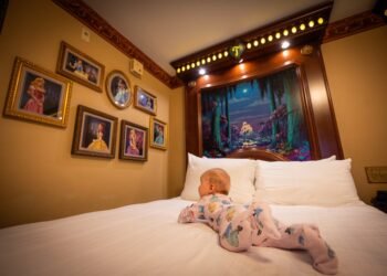 Disney Global’s Absolute best-Themed Lodge Rooms?