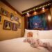 Disney Global’s Absolute best-Themed Lodge Rooms?