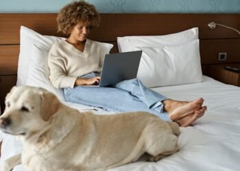 Canary Applied sciences brings visitor control machine to BWH Accommodations