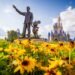 Disney Forecasts Call for Slowdown & Softness for Parks Into 2025