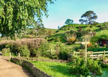 My New Zealand North Island Highway Travel Itinerary