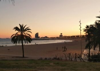Barcelona Drought: How Vacationers Can Assist Preserve Water