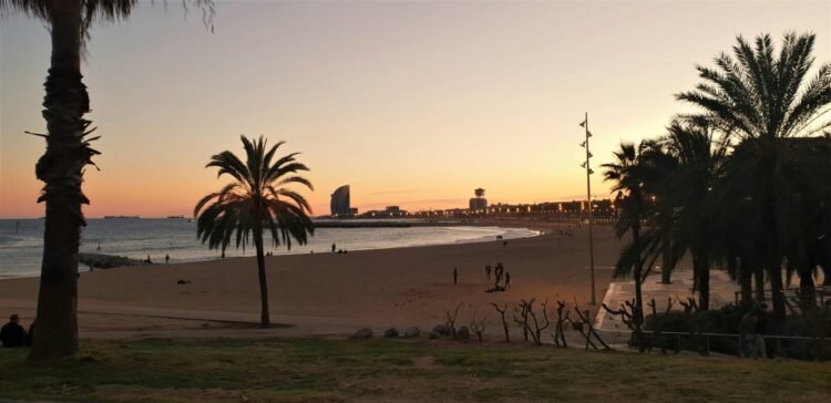 Barcelona Drought: How Vacationers Can Assist Preserve Water