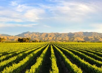 My New Zealand South Island Street Shuttle Itinerary