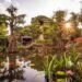 Disney International’s Sluggish Summer season Winds Down