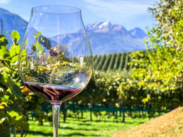 Uncover Italy’s Wine Wonderland