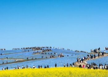 Largest Trip Markets across the Global