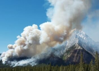 Canadian Tourism Fights the Symbol Have an effect on of Woodland Fires