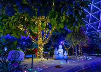 New In the back of the Seeds Christmas Excursion at EPCOT!