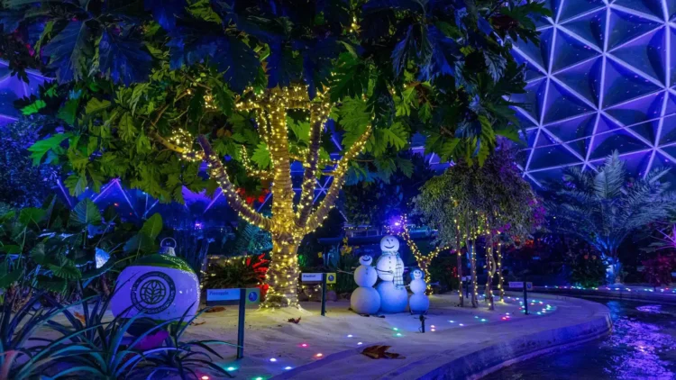 New In the back of the Seeds Christmas Excursion at EPCOT!