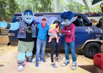 101 Nice Disneyland Guidelines – Disney Vacationer Weblog