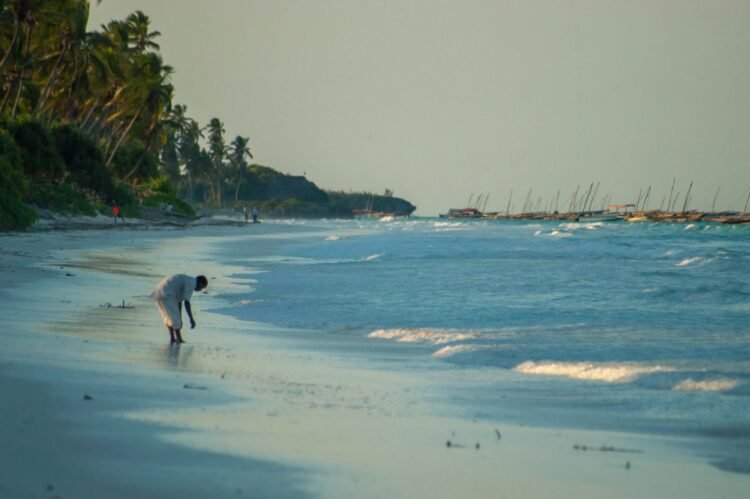 Most sensible 7 Tropical Puts to Retire