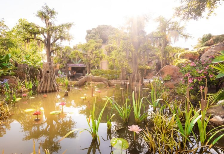 Perfect Time-Saving Methods for Disney International