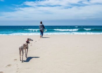 The right way to Transfer to Spain from the USA: A Newbies Information