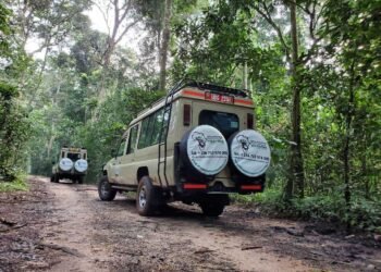 Causes to Seek advice from Lake Mburo Nationwide Park in Uganda
