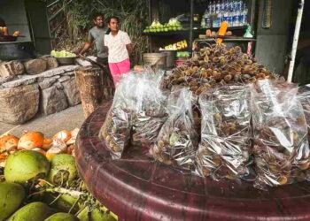 27 Unique Sri Lankan End result You’ve gotten Most certainly By no means Attempted