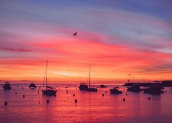 Catalina Island, California – I chickened out; However someway were given rewarded