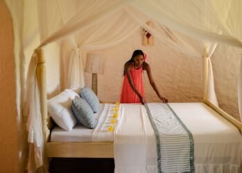 May Airbnb’s new co-host market problem belongings leadership firms?