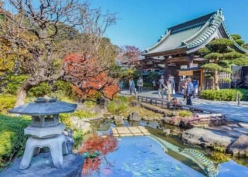 Japan Recorded Higher Customer Numbers