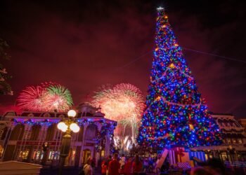 Disney International Christmas 2024 Final Information