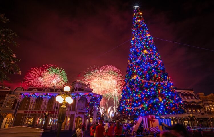 Disney International Christmas 2024 Final Information