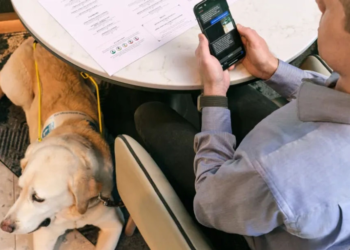 Hilton companions with Be My Eyes to lend a hand blind and low-vision visitors