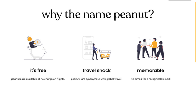 Insured Nomads buys go back and forth buying groceries Chrome app Peanut