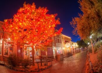Disney’s Now not-So-Secret Halloween Tree – Disney Vacationer Weblog